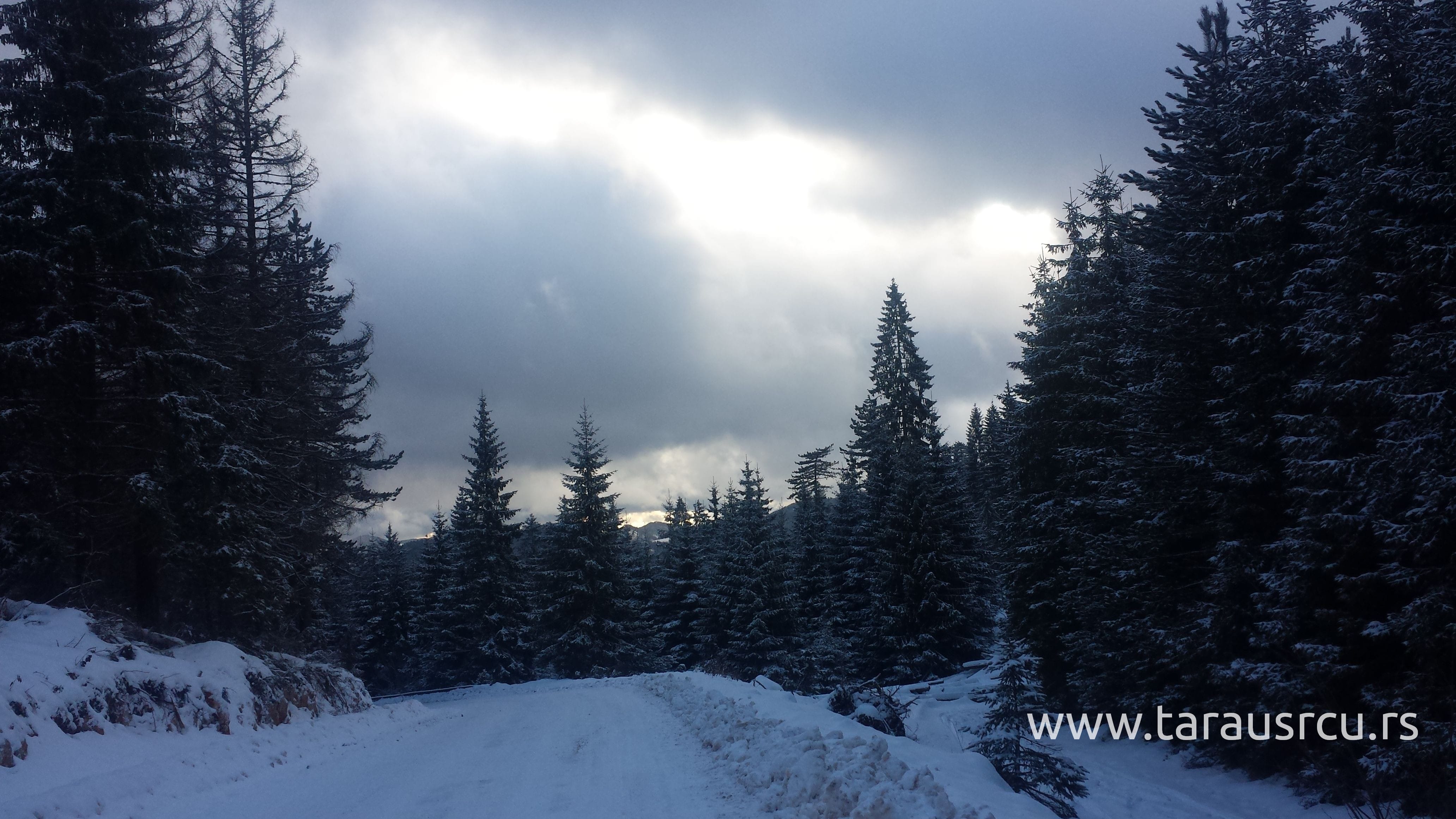 Tara-Zaovine-zima